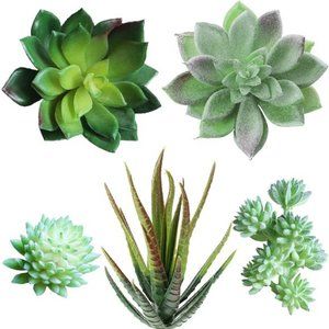 5Pcs Assorted Artificial Succulents Plants Unpotted Small Green Cactus Fake Faux